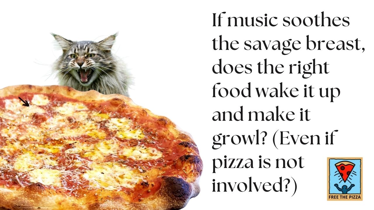 growling house cat and pizza 